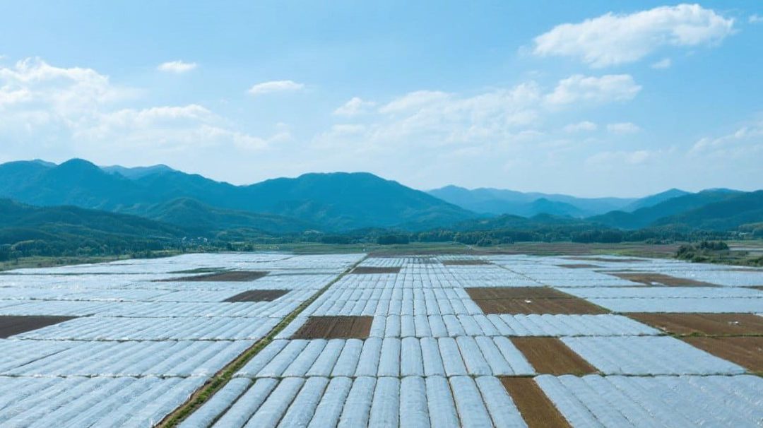 From Film Waste to Global Resources