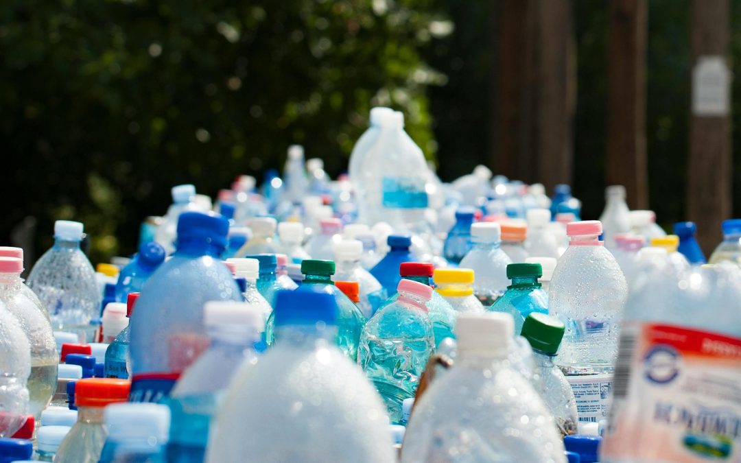 Applications of Recycled PET Flakes